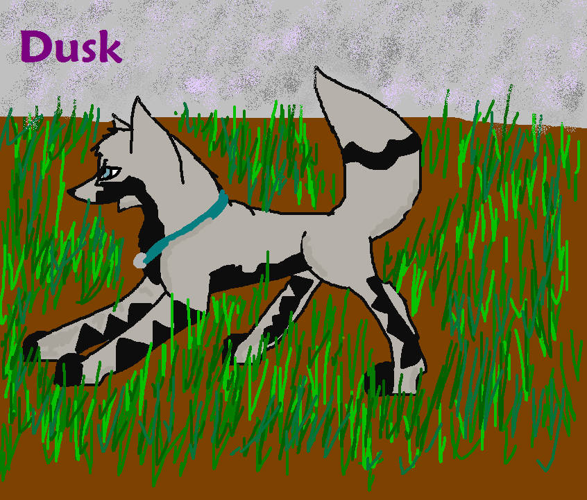 Dusk.JPG