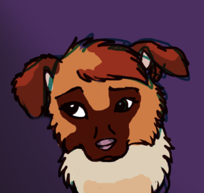 SketchWilla.png