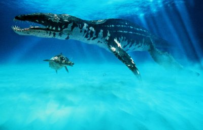 liopleurodon_1[1].jpg