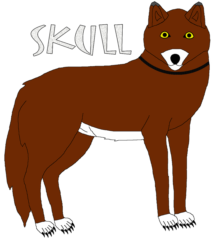 SK1919 Skull.png