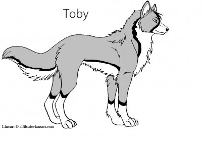 Toby.JPG