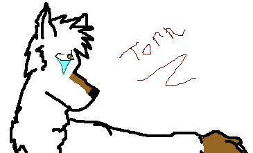 Tundra!!.JPG