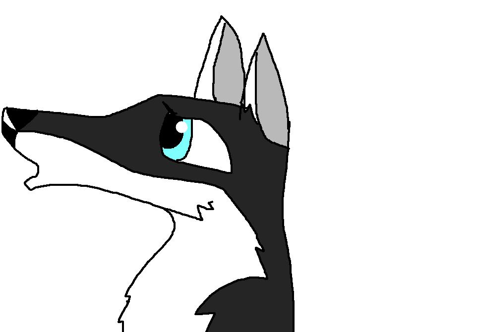 dog  wanted.JPG