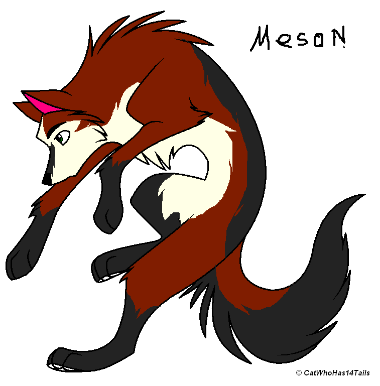 Meson.PNG