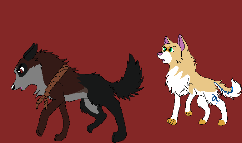 Kanonno and Karol.png