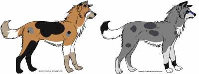 anileupups.png