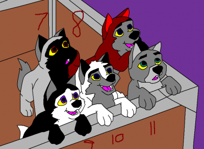 Pups Adoptable 2.png