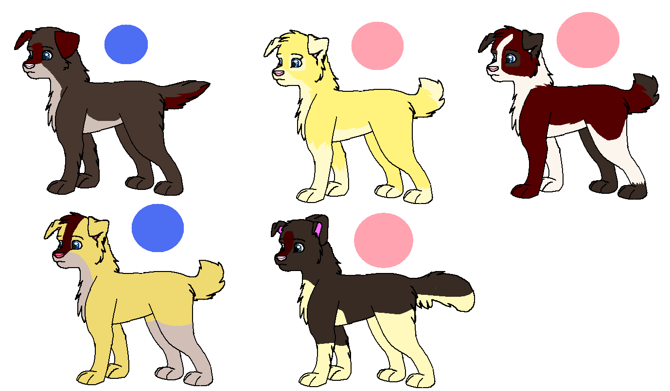 DimitrixButtercup pupssss for adoption.png