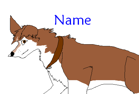 name.PNG