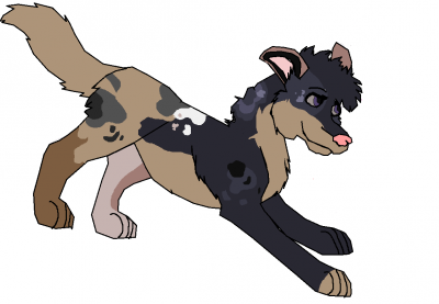 Rex.png