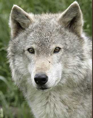 echotestpic3.jpg