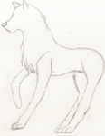 dogs.png