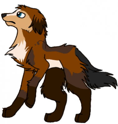 Poaris picture (2).png