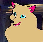 funn wolf.JPG