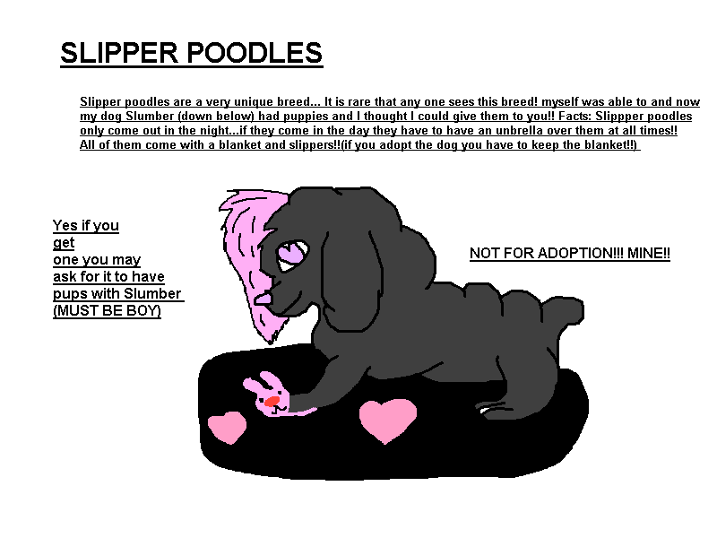funny slipper poodle.png