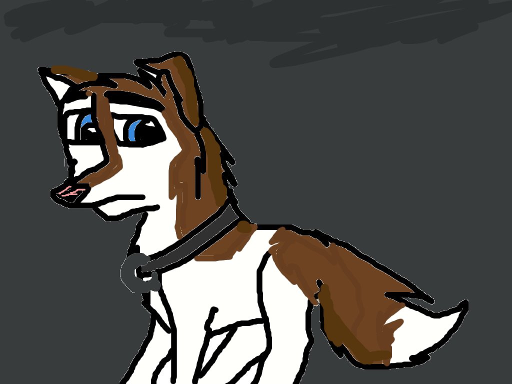 boozer.jpg