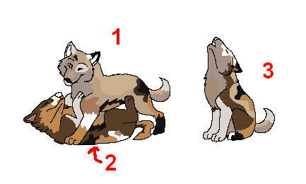 theirpups4adoption.PNG