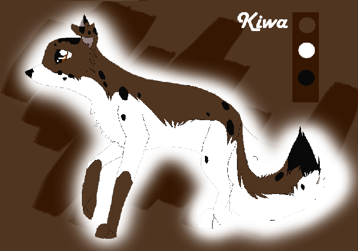 kiwashee.png