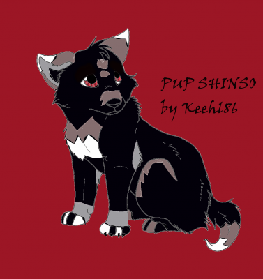 Pup_Shinso2.png