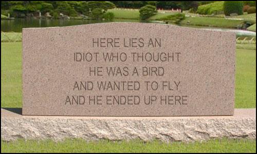 an idiot who wanted to fly!!!!.jpg