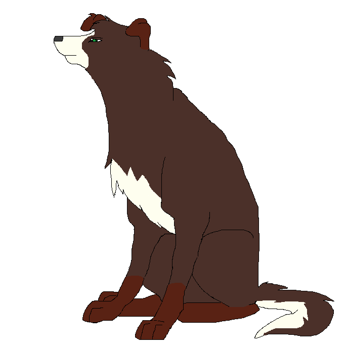 New entry.png