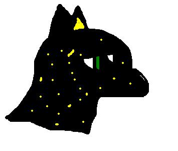 c766_1.jpg