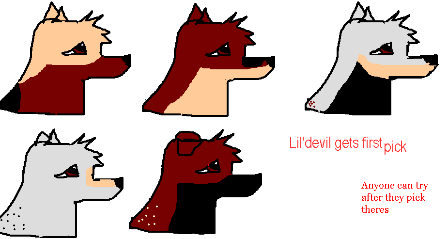 cool1.gif