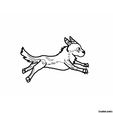 1.gif
