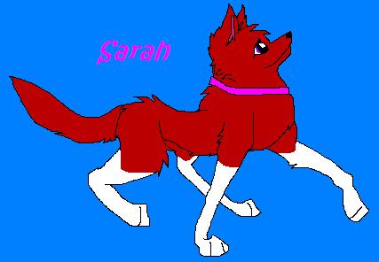 sarah.JPG
