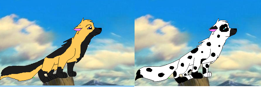 pretty pups1.PNG