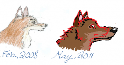 red line.png
