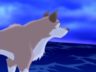 balto2_303.JPG.jpg