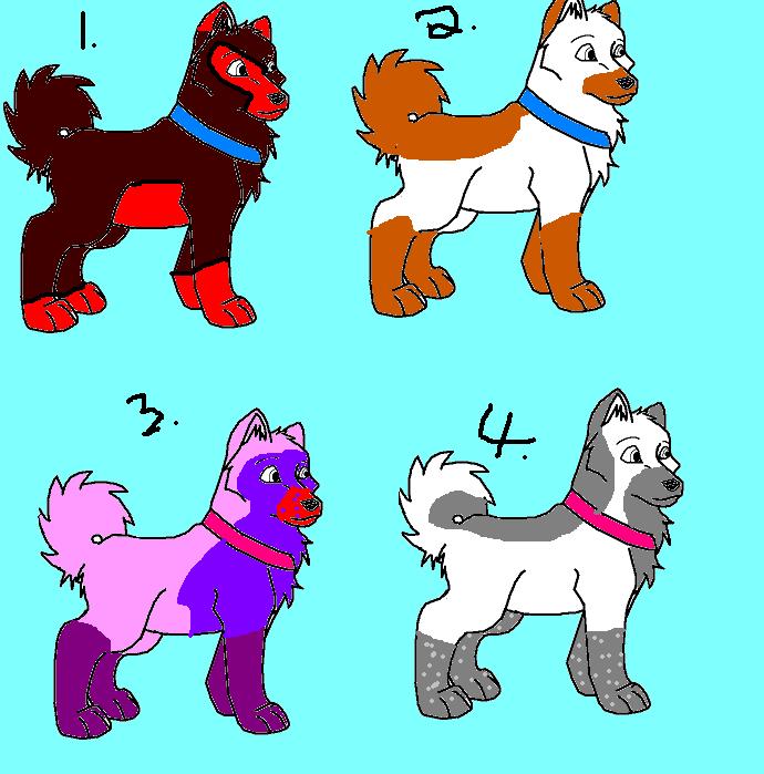 A.M. adoption of pups.JPG