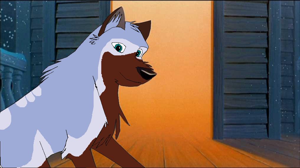balto14.jpg
