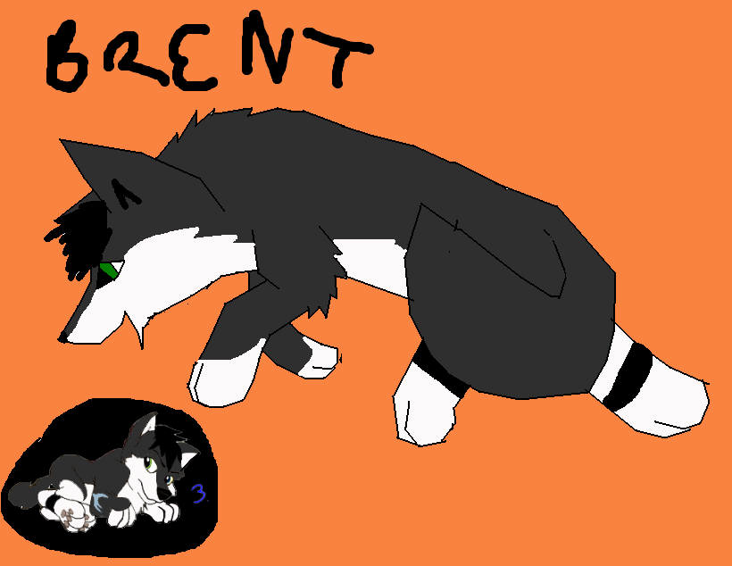 Puppy.JPG