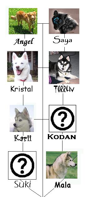 sled team.JPG