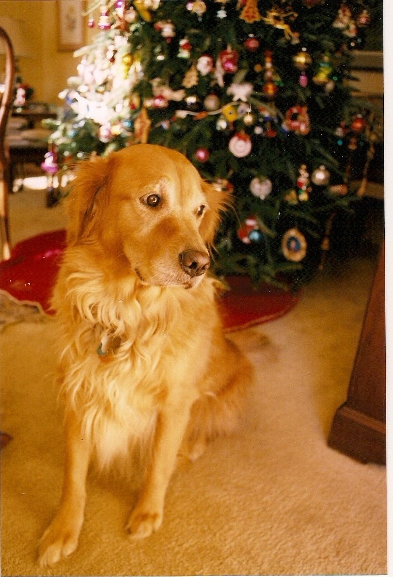 scan0001.jpg