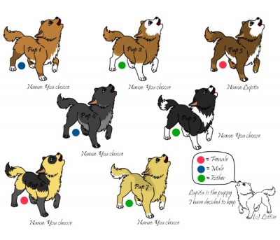 The%20puppies%20for%20adoption.jpg