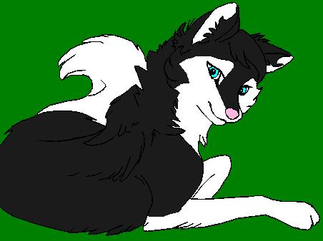 Tibby.JPG