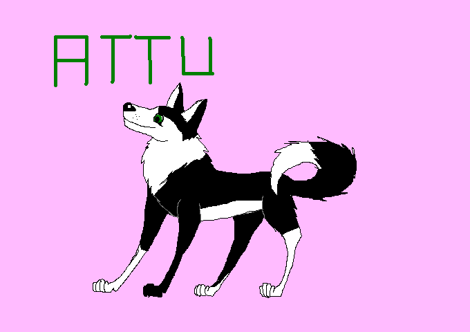 attu.PNG