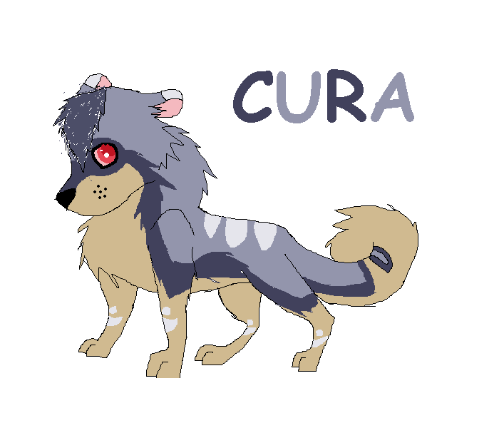 KIT.PNG
