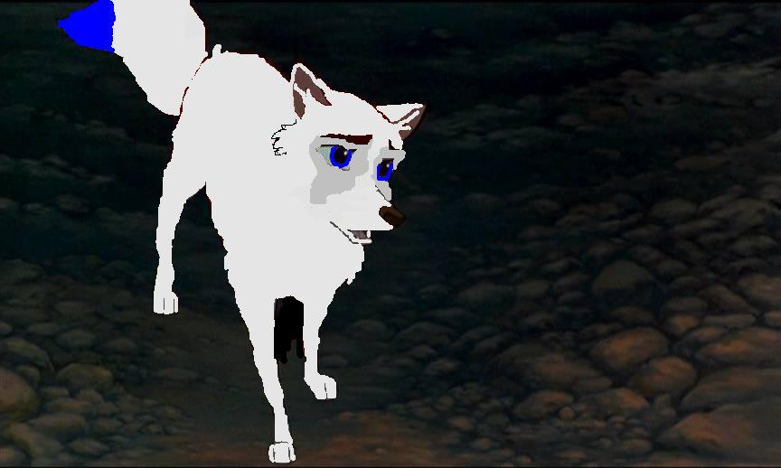 sasha.JPG