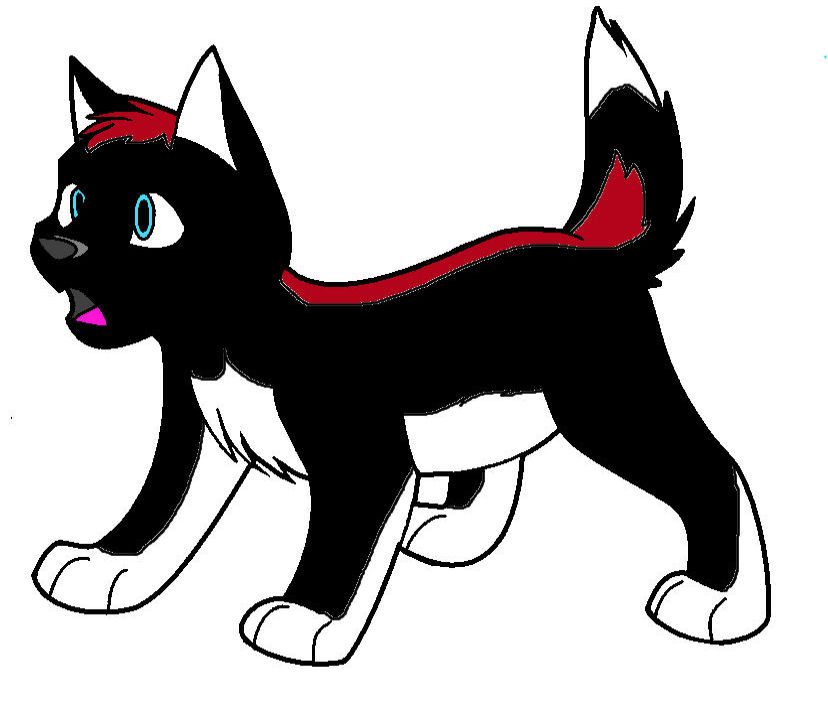 Coal and Kenidie's pup 2--Erin.jpg
