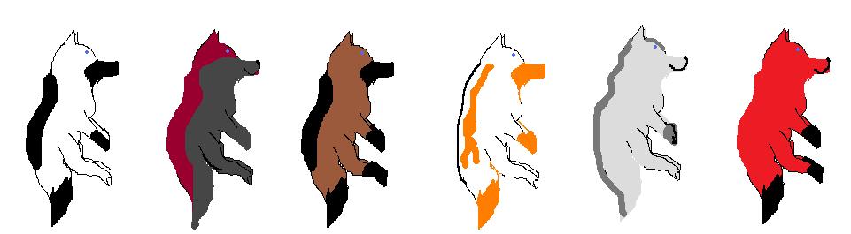 dogs.jpg