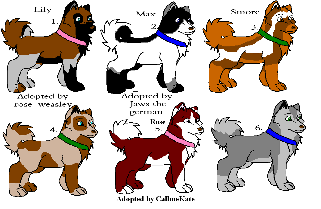 pup.png