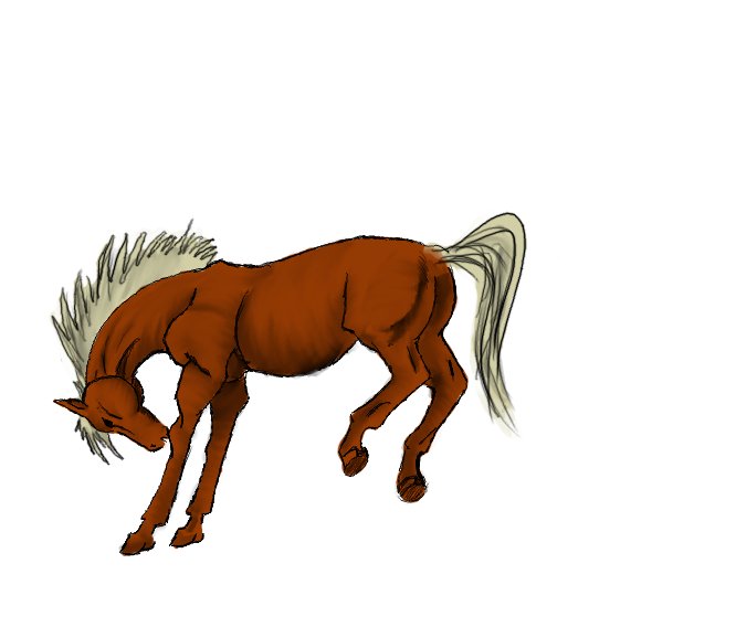 cheval.jpg