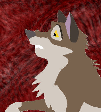 balto test.jpg