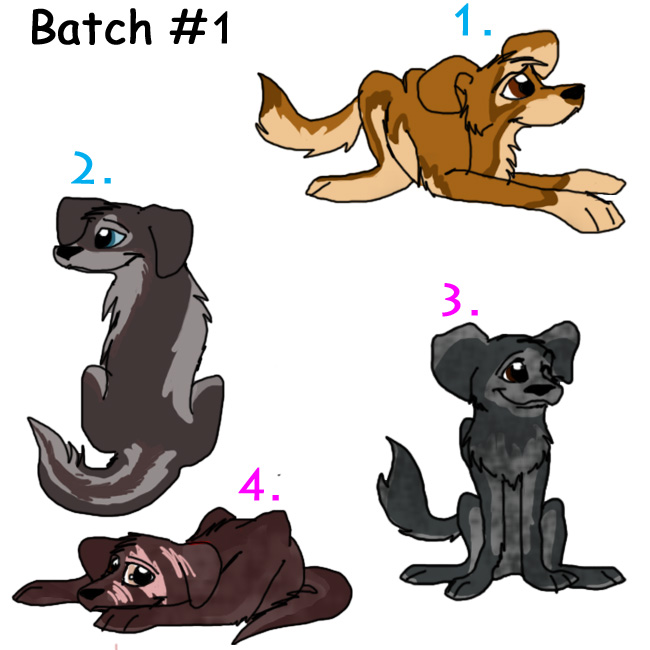 Bacth #1.jpg