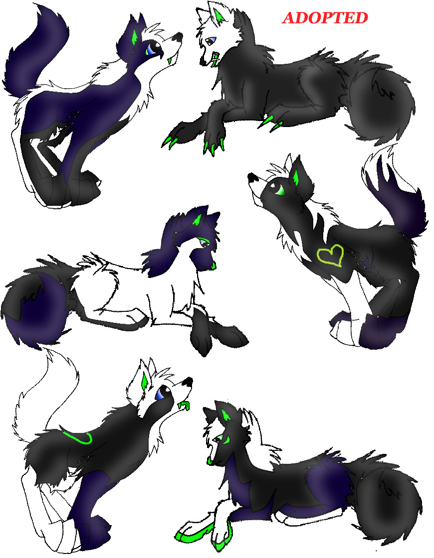 Blue && Ranger's pups copy.jpg