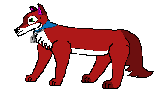 Dingo.1.gif